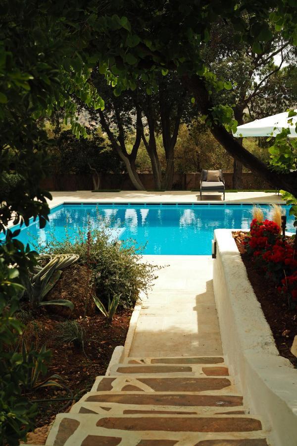 Villa Oasis Lagonisi with garden&large Pool Exterior foto