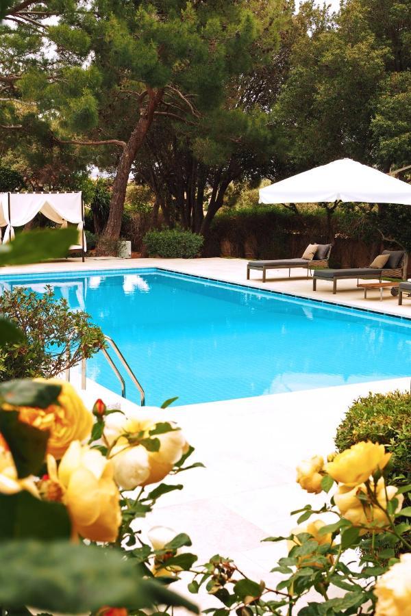 Villa Oasis Lagonisi with garden&large Pool Exterior foto