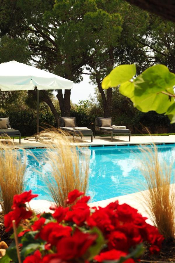 Villa Oasis Lagonisi with garden&large Pool Exterior foto